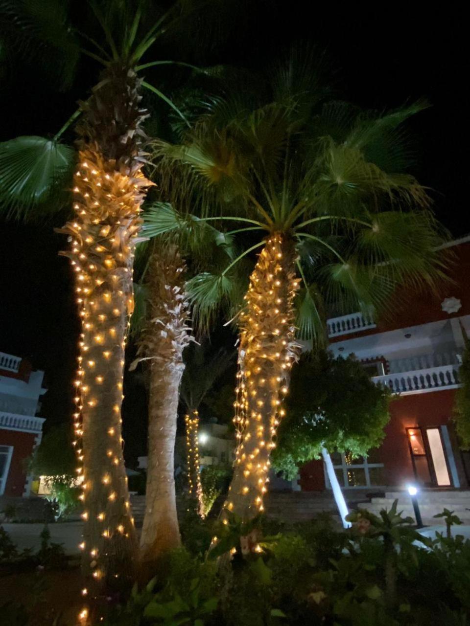 Hurghada-magawish 6 فيلة